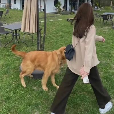 哥特捕猎